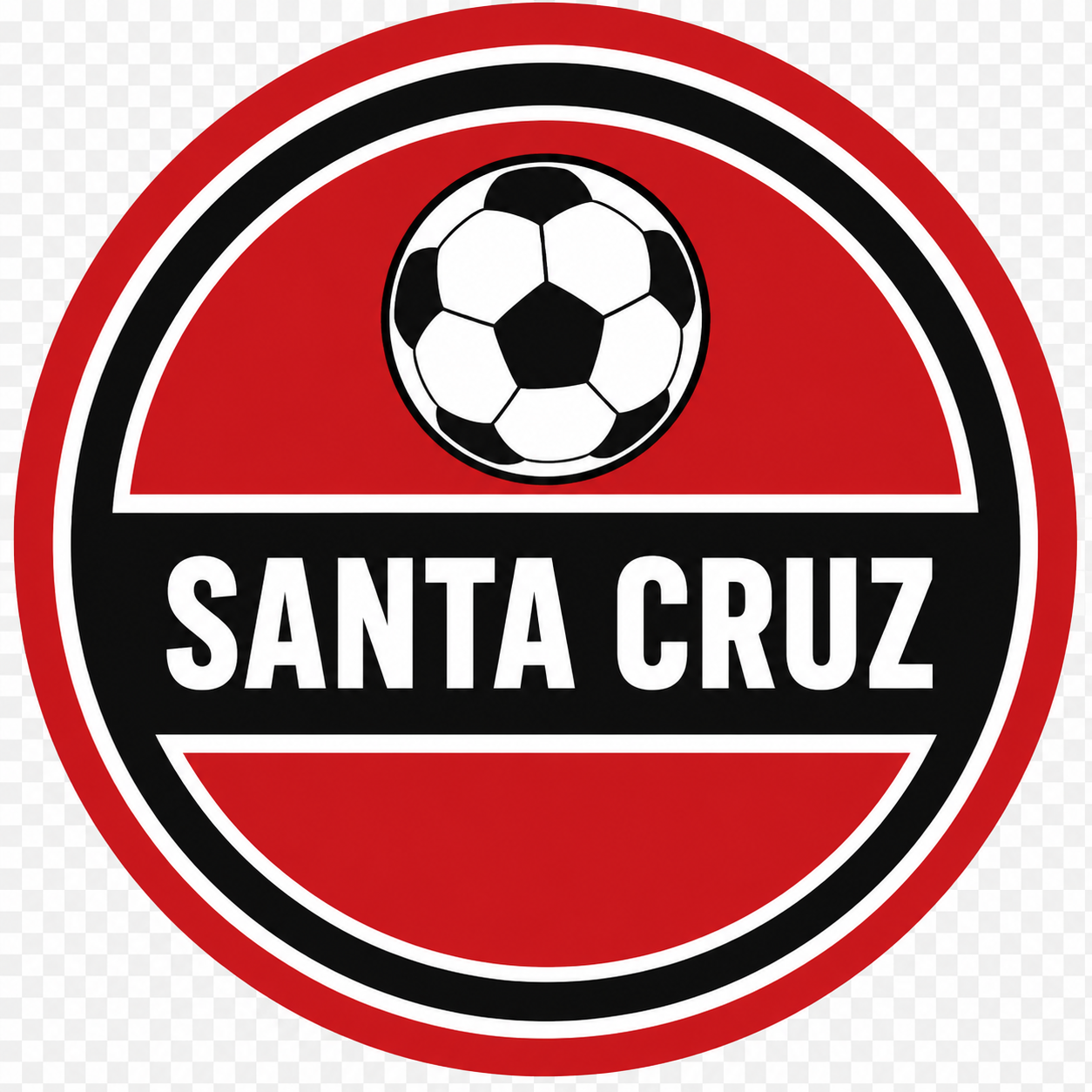 Skin Santa Cruz